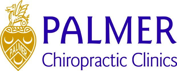 Palmer logo